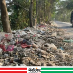 সৌন্দর্য হারিয়ে ময়লার পাহাড়ে পরিণত হচ্ছে সালথার বাইপাস সড়ক