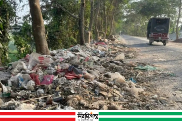 সৌন্দর্য হারিয়ে ময়লার পাহাড়ে পরিণত হচ্ছে সালথার বাইপাস সড়ক