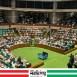 গণভোট অধ্যাদেশ বাতিল, সংসদে বিল আকারে তোলা হবে না