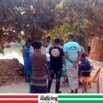 আ.লীগের হামলায় বিএনপির ২ কর্মী নিহত