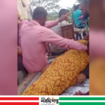 যশোরে পুত্রের মটরসাইকেল থেকে ছিটকে পড়ে মায়ের করুণ মূত্যু