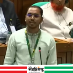 জেন-জি বাহাত্তরের সংবিধান চায় না: এনসিপির হান্নান মাসউদ সংসদে দাবি