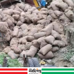 রাজবাড়ীতে আলুভর্তি ট্রাক উল্টে নিহত ১