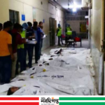 দৌলতদিয়া ফেরিঘাটে বাসডুবির ঘটনায় নিহত বেড়ে ২৩