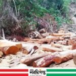 আলীকদমে অবৈধভাবে গাছ কর্তনের বিরুদ্ধে যৌথ অভিযান পরিচালিত