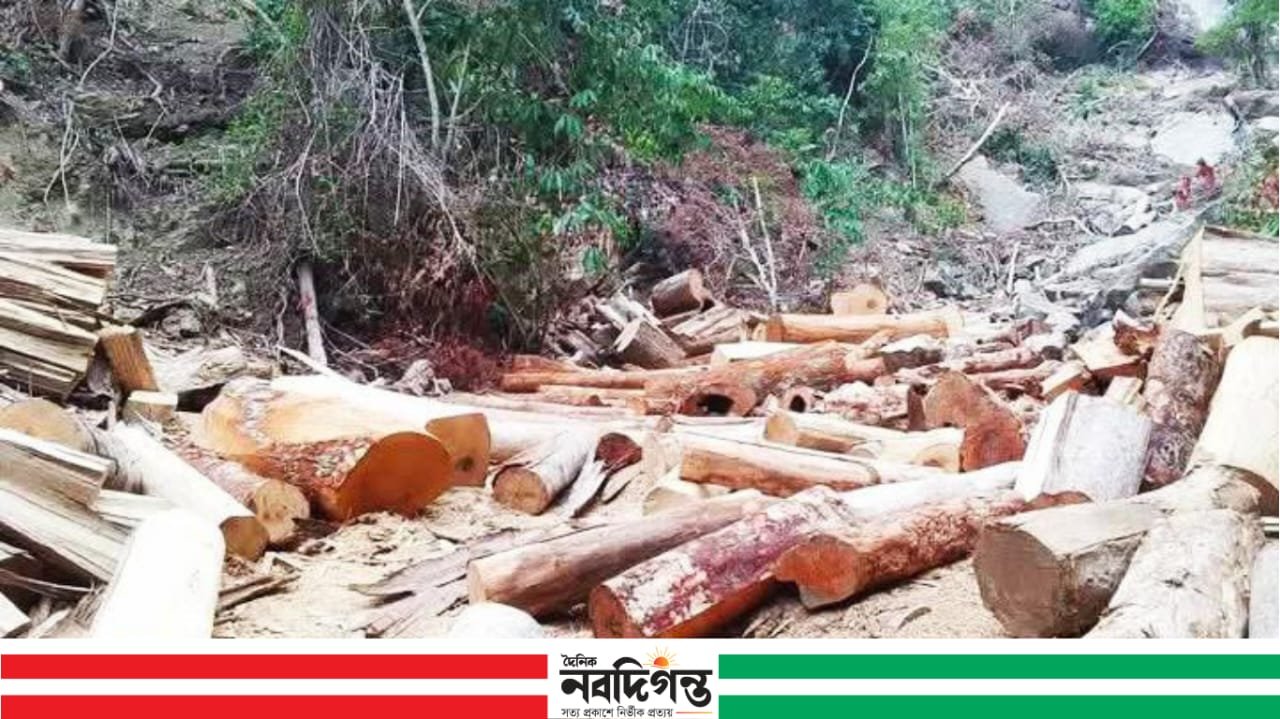 আলীকদমে অবৈধভাবে গাছ কর্তনের বিরুদ্ধে যৌথ অভিযান পরিচালিত