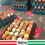 চাঁদপুরে মিড-ডে মিলে নষ্ট ডিম, ক্ষুব্ধ শিক্ষার্থী-অভিভাবক