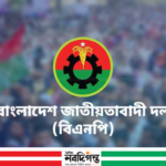 নারী আসনে প্রার্থী বাছাইয়ে যেসব বিষয় গুরুত্ব দেবে বিএনপি