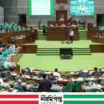 জাতীয় সংসদে আরও ১০টি বিল পাস