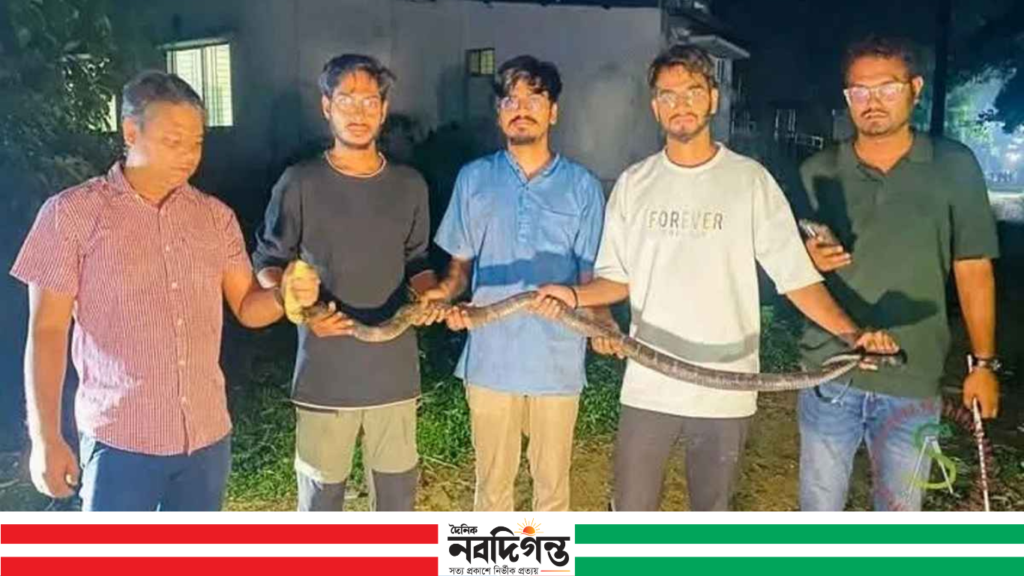 চবিতে ৮ ফুট কিং কোবরা উদ্ধার, আতঙ্কের পর স্বস্তি