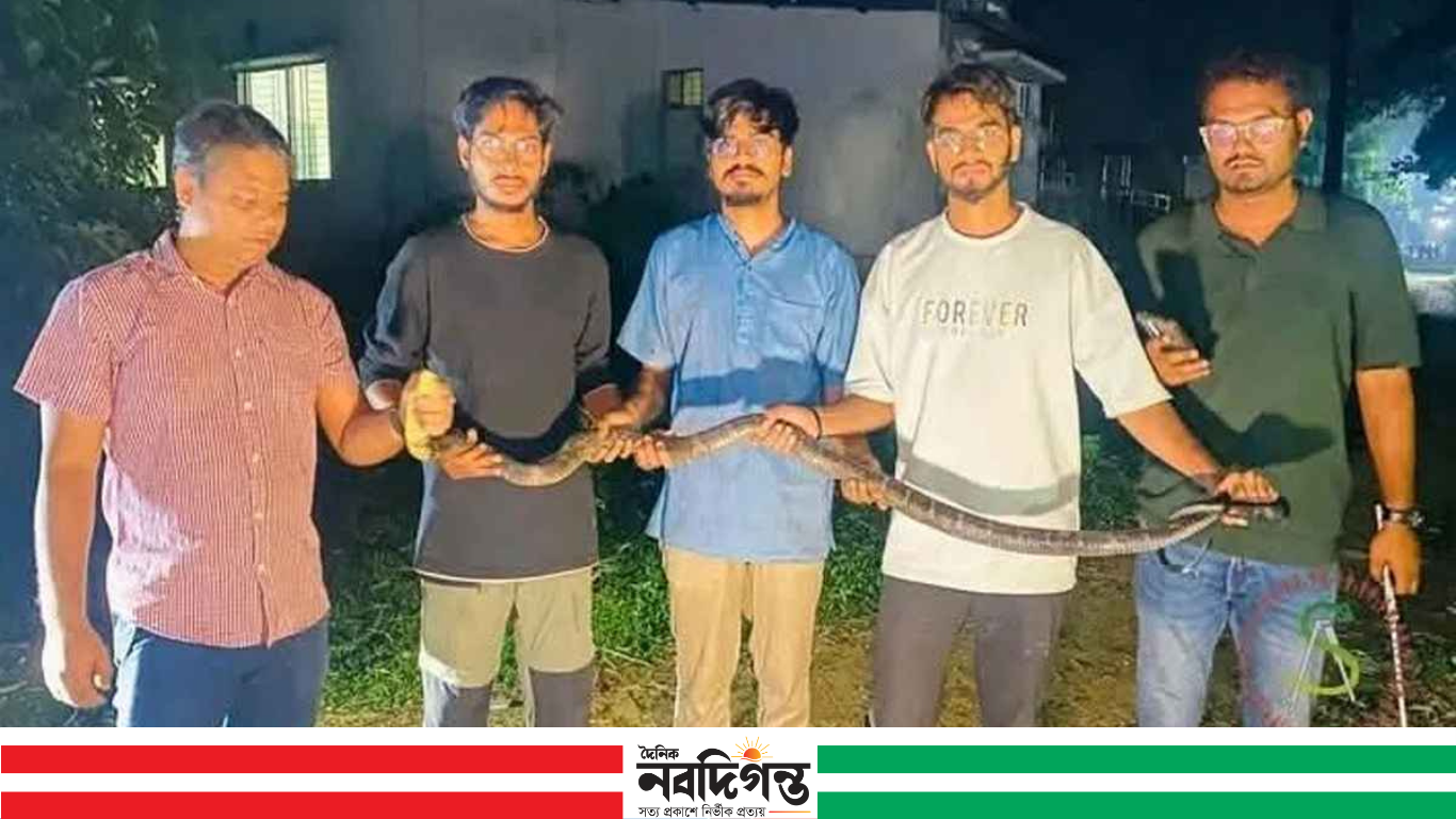 চবিতে ৮ ফুট কিং কোবরা উদ্ধার, আতঙ্কের পর স্বস্তি