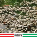 চলাচলের রাস্তা কেটে পুকুর খনন, প্রতিবাদে প্রাণনাশের হুমকির অভিযোগ কুড়িগ্রামে