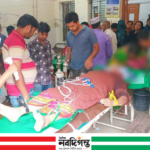 নড়াইলে পাম্প থেকে তেল নিয়ে বাড়ি ফেরার পথে কৃষাণীর মৃত্যু