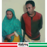 ঠাকুরগাঁওয়ে নিজ বাড়ী থেকে মাদকসহ স্বামী-স্ত্রী গ্রেপ্তার