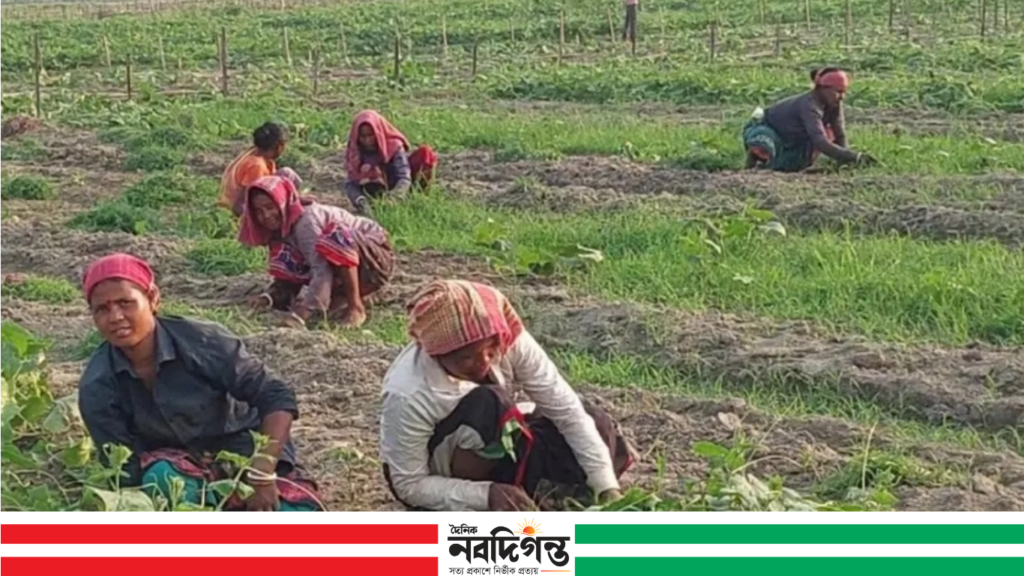 ৩০০ টাকায় ১০ ঘণ্টা খাটুনি, শেষ হয় না রূপসীদের জীবনযুদ্ধ