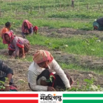 ৩০০ টাকায় ১০ ঘণ্টা খাটুনি, শেষ হয় না রূপসীদের জীবনযুদ্ধ