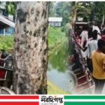নাগেশ্বরীতে অটো-ট্রাক্টর সংঘর্ষে আহত ৪ শিক্ষিকা