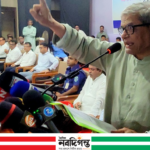 জ্বালানি তেলের দুর্ভোগ কিছুটা তৈরি করা: মির্জা ফখরুল