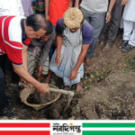 নোয়াখালী'র চাটখিলে খাল খনন প্রকল্পের উদ্বোধন করলেন ব্যারিস্টার খোকন