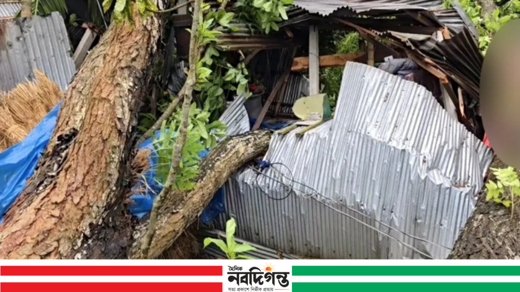 ঠাকুরগাঁওয়ে কালবৈশাখীর তাণ্ডব, বসতঘর বিধ্বস্ত