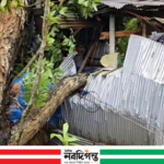 ঠাকুরগাঁওয়ে কালবৈশাখীর তাণ্ডব, বসতঘর বিধ্বস্ত