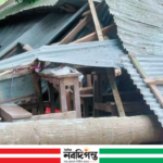 নড়াইলের কালিয়ায় শ্রেণিকক্ষে গাছ পড়ে আহত ২ শিক্ষার্থী