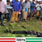 রায়গঞ্জে অটোরিকশা চালকের গলাকাটা মরদেহ উদ্ধার