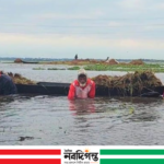 হাওরে বৃষ্টি ও ঢলে তলাচ্ছে বোরো ক্ষেত