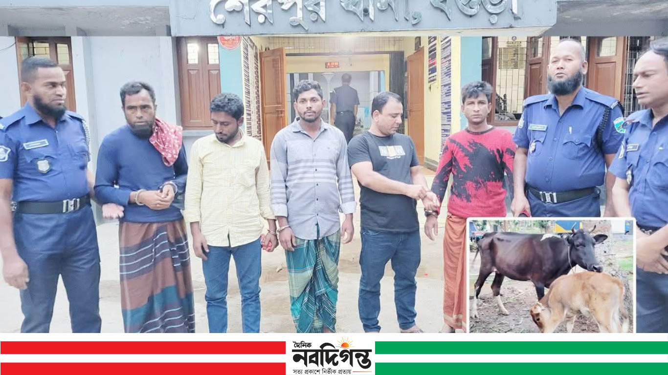 বগুড়ার শেরপুরে গরু চুরি, ৫ চোর আটক