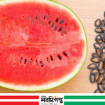 তরমুজের বীজ খেলে কী হয়?
