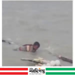 কালবৈশাখীতে মেঘনায় নৌকাডুবি, প্রাণে বাঁচলেন জেলে