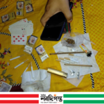 বোরহানউদ্দিনে মাদকসহ আটক, মোবাইল কোর্টে সাজা