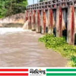 বটিয়াঘাটার তেঁতুলতলা স্লইজ গেটের কপাট ভেঙে জোয়ারের পানি প্রবেশ, শঙ্কায় কৃষকরা