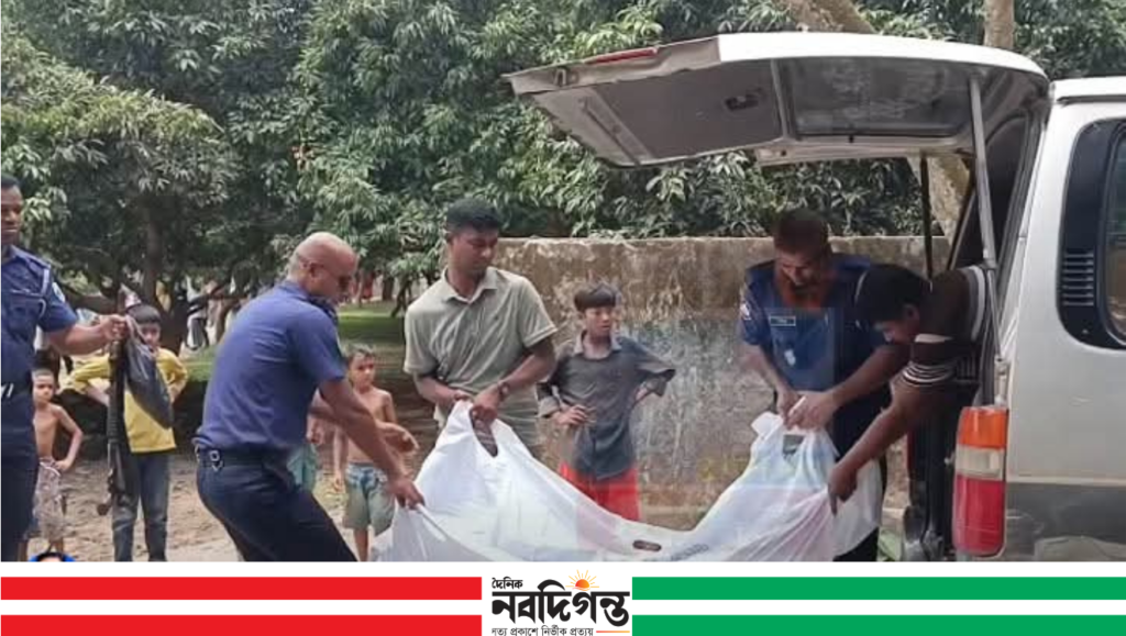 বগুড়ার শেরপুরে ইউক্যালিপ্টাস গাছ থেকে বৃদ্ধের ঝুলন্ত মরদেহ উদ্ধার