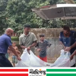 বগুড়ার শেরপুরে ইউক্যালিপ্টাস গাছ থেকে বৃদ্ধের ঝুলন্ত মরদেহ উদ্ধার