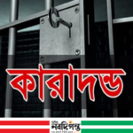 খুলনার নিরালা মোড়ে ছিনতাইচেষ্টায় দুইজনের কারাদণ্ড