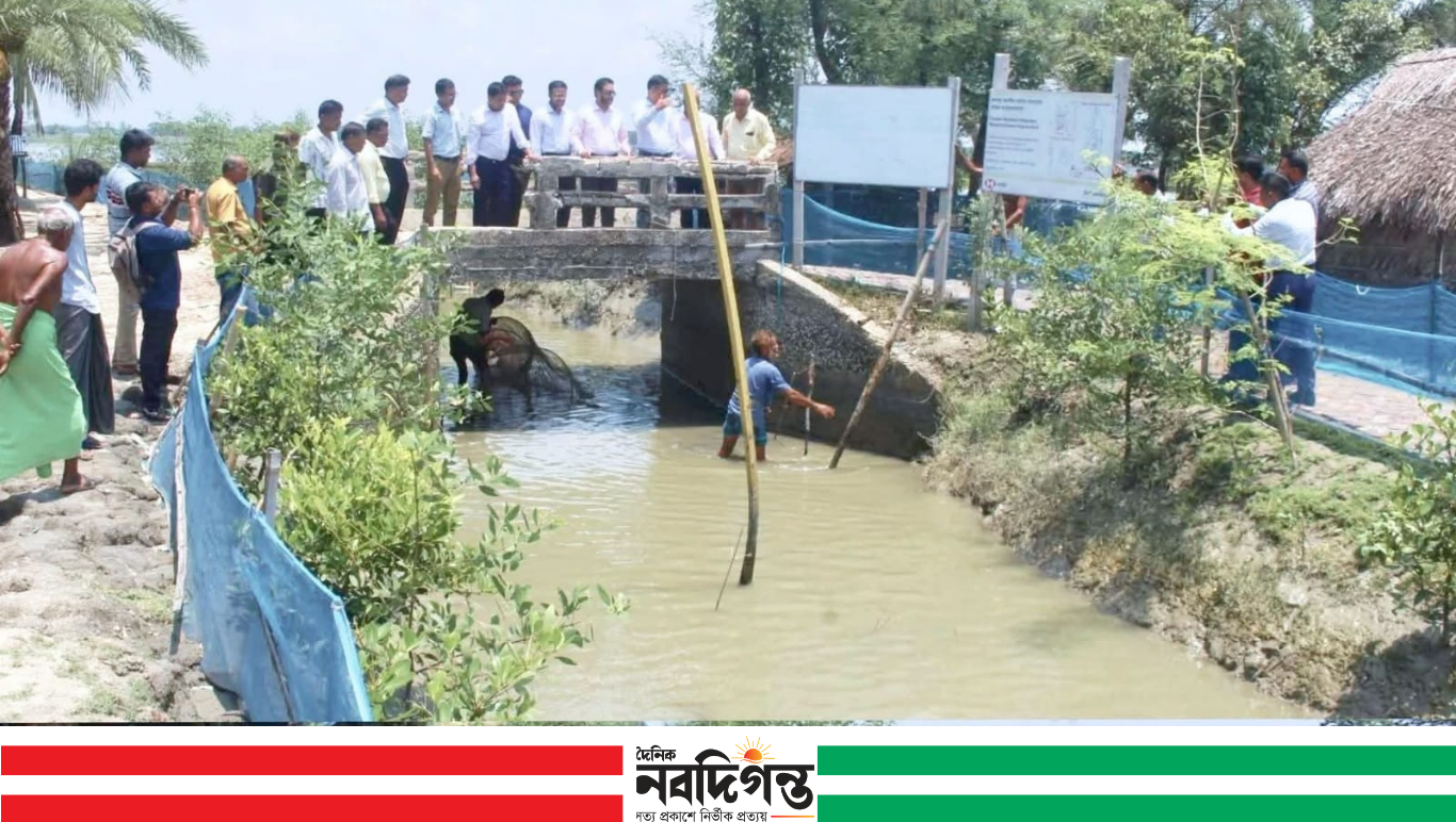 পাইকগাছায় খাল থেকে অবৈধ নেট পাটা অপসারণ