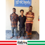 ঠাকুরগাঁওয়ে ৩৩ পিস ইয়াবাসহ তিনজন আটক