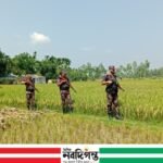 কুড়িগ্রাম সীমান্তে বিজিবির কড়া নজরদারি, বাড়ানো হয়েছে নিরাপত্তা টহল