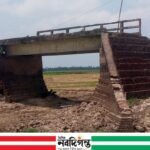 নলডাঙ্গায় ৪০ বছরের সড়কহীন সেতু, দুর্ভোগে শিক্ষার্থী