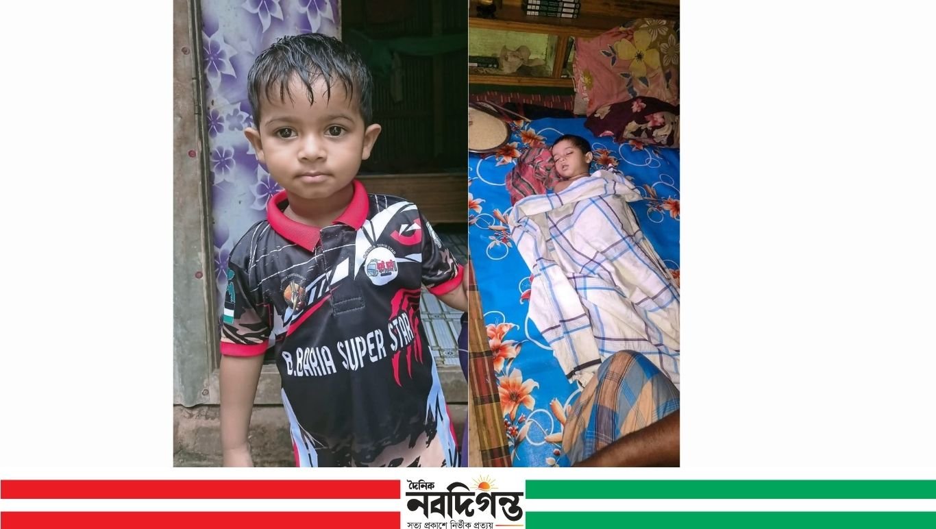 নাসিরনগরে পুকুরে ডুবে ৩ বছরের শিশুর মৃত্যু