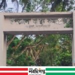 কচুয়ায় হামলায় দুই ভাই ও বৃদ্ধ পিতা আহত