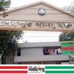 শেরপুরে তালা কেটে ইজি বাইক চুরির অভিযোগ