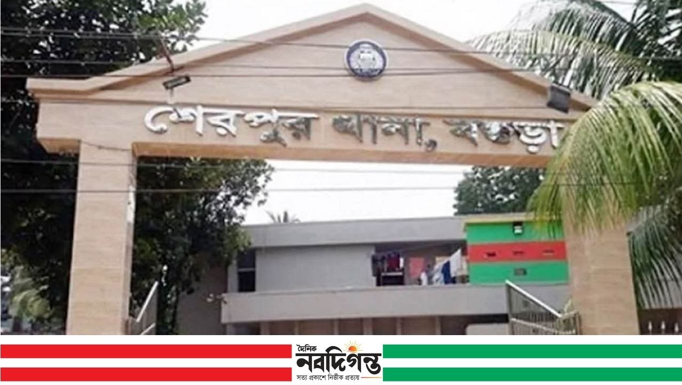 শেরপুরে তালা কেটে ইজি বাইক চুরির অভিযোগ