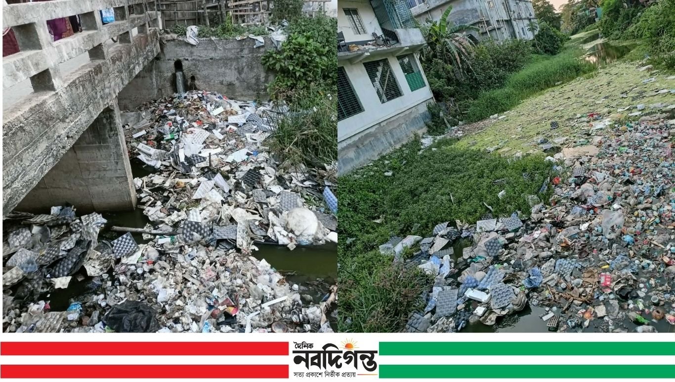 বজ্য স্তূপে মরনদশা আদি যমুনার শ্যামনগরে জলবদ্ধার শস্কা