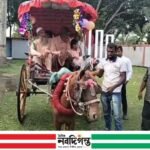 দীর্ঘ ৩৮ বছরের শিক্ষকতা জীবনের ইতি, রাজকীয় বিদায়