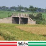 নড়াইলে ১০ বছরেও চালু হয়নি সেতু, সংযোগ সড়ক না থাকায় ভোগান্তি চরমে