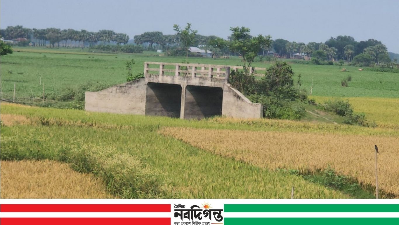 নড়াইলে ১০ বছরেও চালু হয়নি সেতু, সংযোগ সড়ক না থাকায় ভোগান্তি চরমে