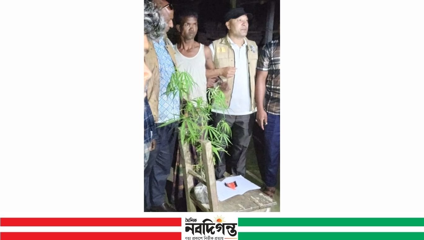 রংপুরে ডিবি পুলিশের অভিযানে ইয়াবা ও গাঁজাগাছসহ একজন আটক