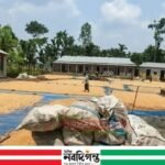 বন্ধ মাদ্রাসায় ধান-ভুট্টা শুকানো হচ্ছে, শিক্ষার অধিকার হারাচ্ছে চরাঞ্চলের শিশুরা